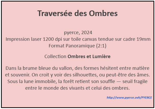 Cartel de Traversee des Ombres